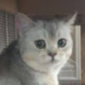 Meet your Posher, Aderyn